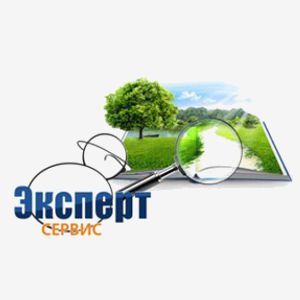 Оспаривание кадастровой Эксперт-Сервис - Оспаривание кадастровой